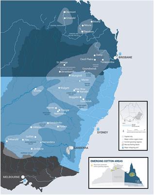 Cotton Breeding in Australia: Meeting the Challenges of the 21st Century